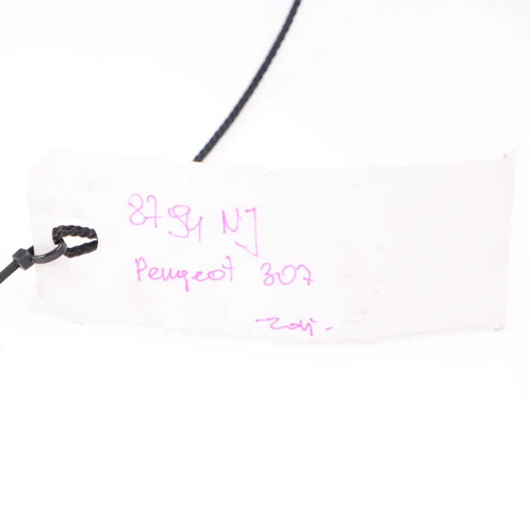 Peugeot 307 Rear Window Parcel Shelf Compartment Trunk Load Cover Black - SKU 8794NJ - Part number 8794NJ