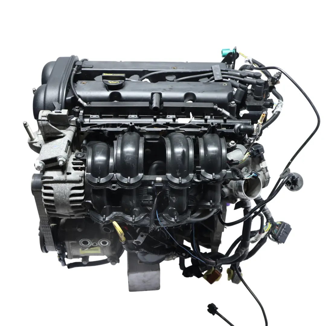 Moteur Complet RTJA RTJB SPJA SPJC SPJE 1.4 97CV GARANTIE pour Ford Fiesta Mk7 à propos du numéro de pièce 8A6G-6006-BB Ford Fiesta Mk7 Moteur Complet RTJA RTJB SPJA SPJC SPJE 1.4 97CV GARANTIE - SKU 8A6G-6006-BB-1 - Numéro de pièce 8A6G-6006-BB