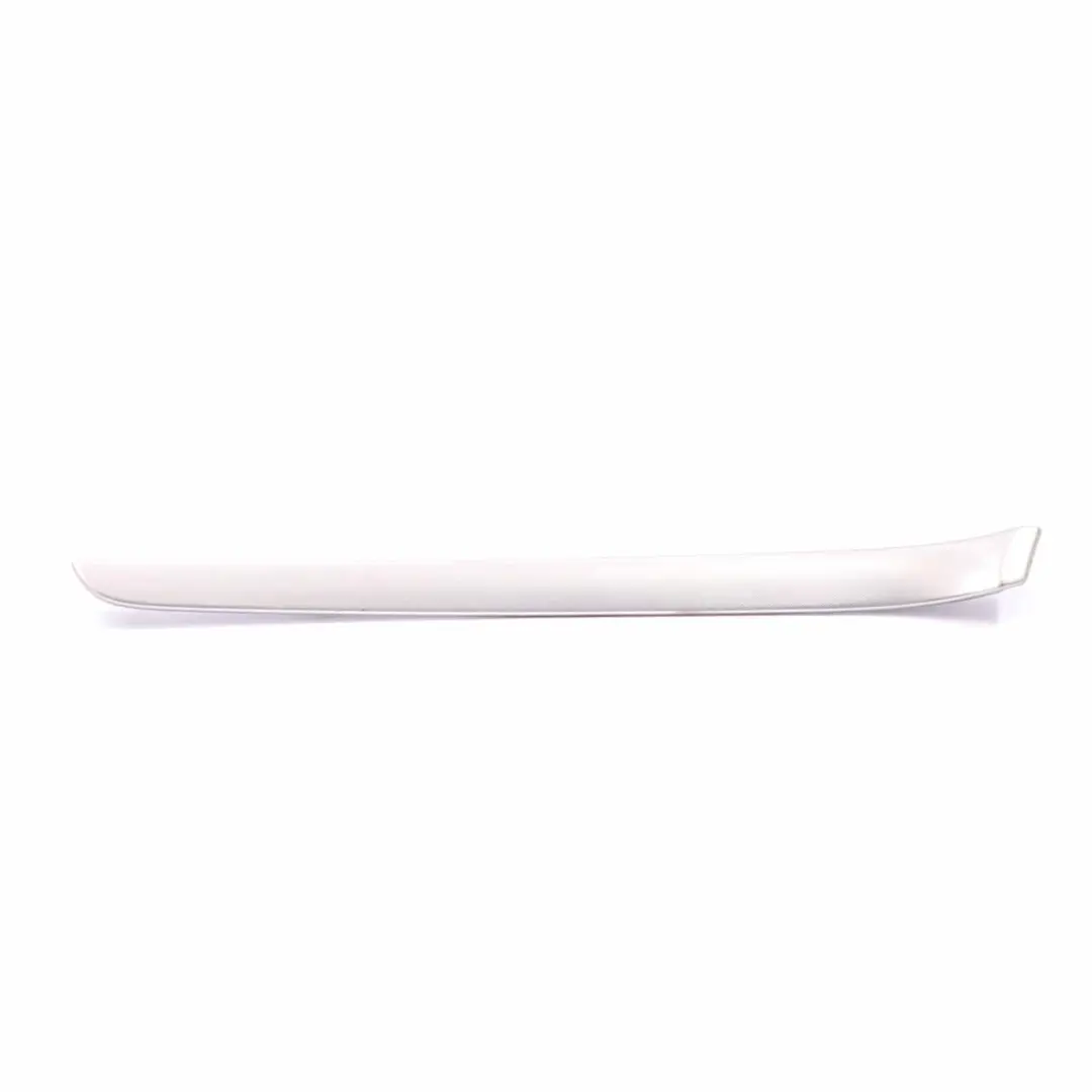 Audi A4 B7 modanatura porta pannello oscillante anteriore sinistra - SKU 8E0867409 - Numero di parte 8E0867409