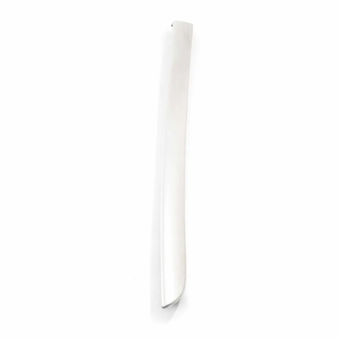 Audi A4 B7 Tapa de la puerta trasera izquierda Aluminio cepillado - SKU 8E0867419 - Número de pieza 8E0867419