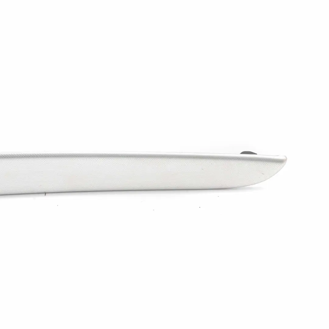 Audi A4 B7 Tapa de la puerta trasera derecha Aluminio cepillado - SKU 8E0867420 - Número de pieza 8E0867420