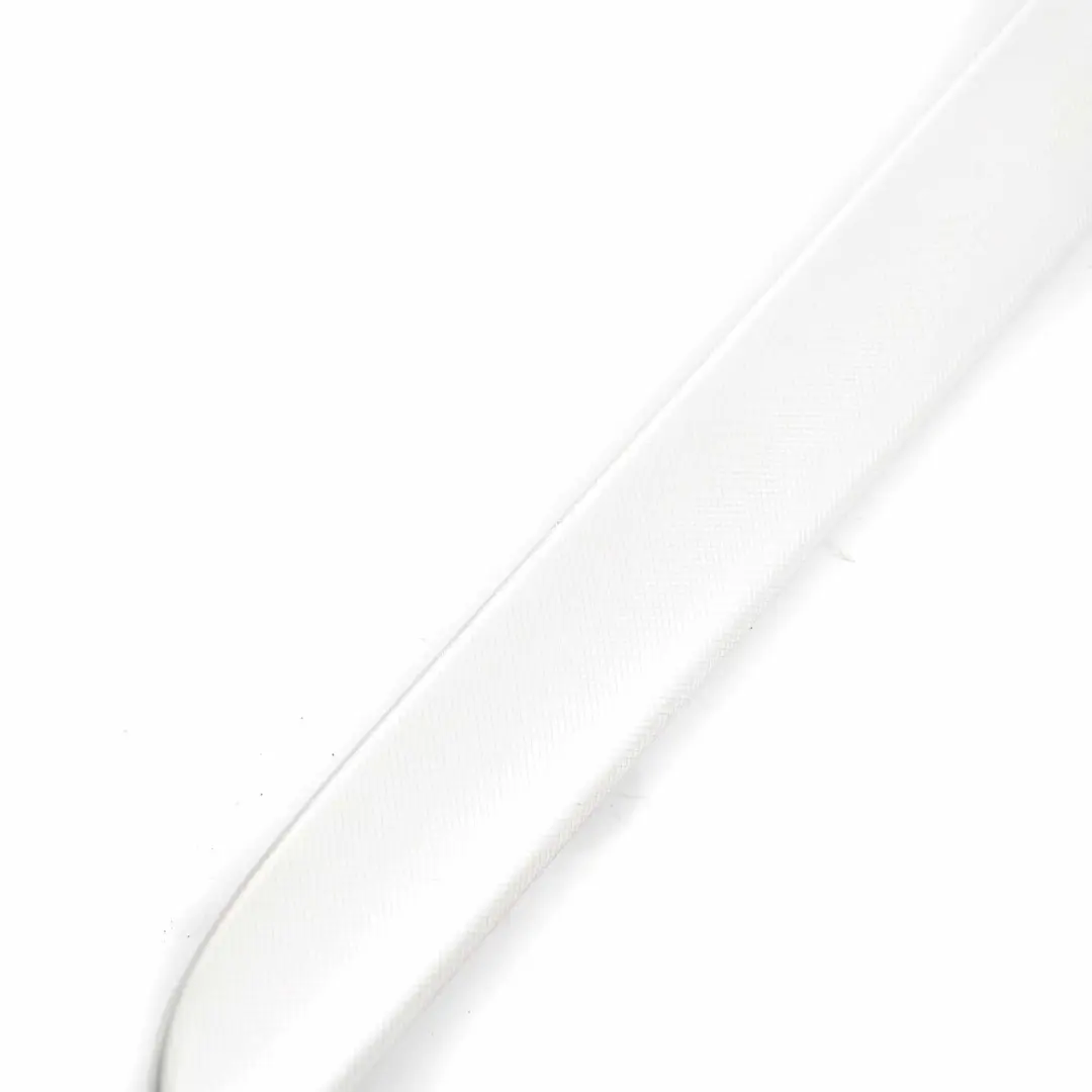 Audi A4 B7 Tapa de la puerta trasera derecha Aluminio cepillado - SKU 8E0867420 - Número de pieza 8E0867420