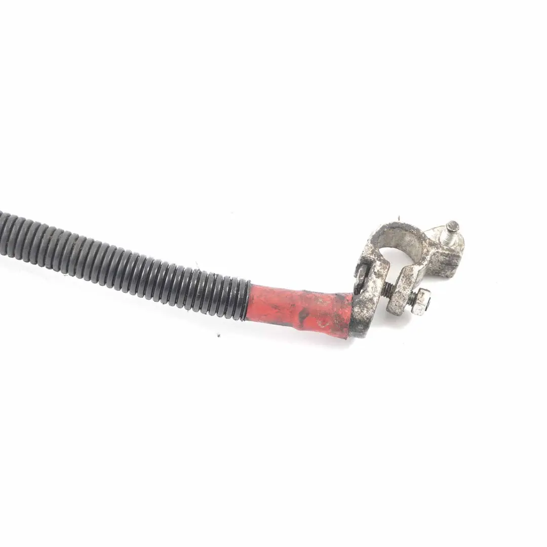 Cavo batteria Cablaggio per Audi A4 B7 2.0 TDI con numero di parte 8EO971824E Audi A4 B7 2.0 TDI Cavo batteria Cablaggio - SKU 8EO971824E - Numero di parte 8EO971824E