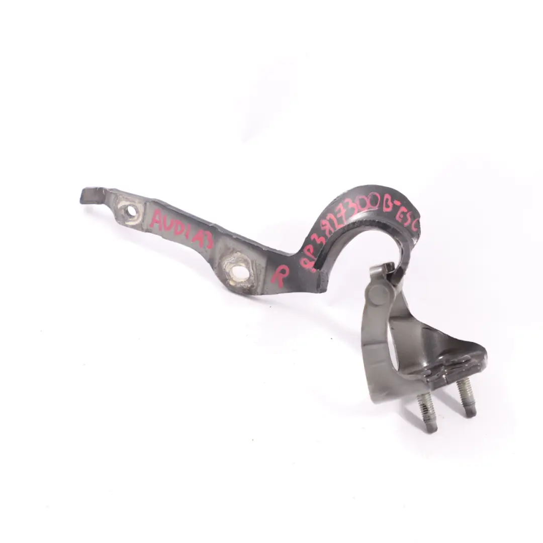 Bisagra Maletero Derecho Portón Trasero Ébano Pearl LZ9W para Audi A3 8P con número de pieza 8P3827300 Audi A3 8P Bisagra Maletero Derecho Portón Trasero Ébano Pearl LZ9W - SKU 8P3827300-ESC - Número de pieza 8P3827300