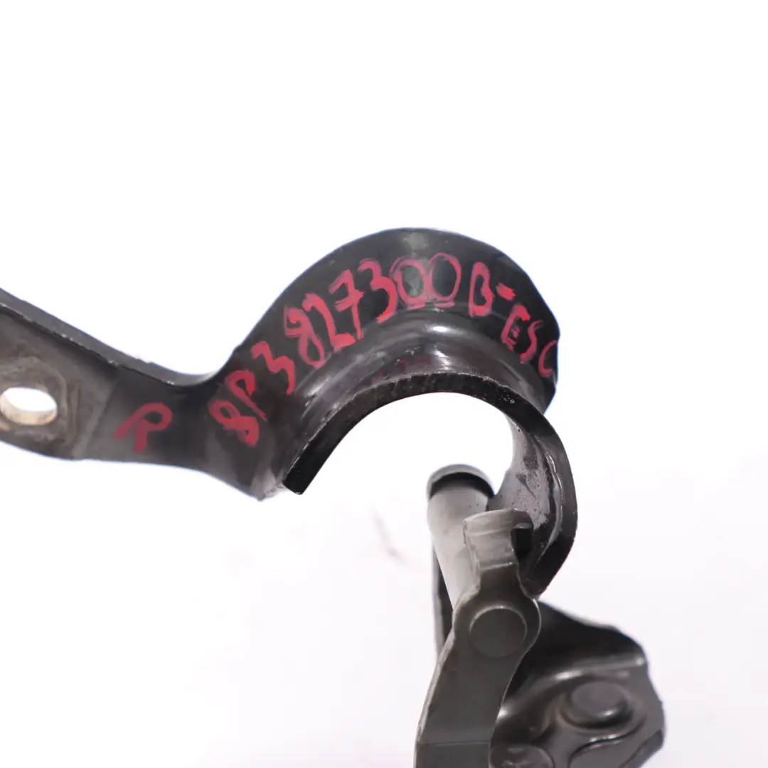 Bisagra Maletero Derecho Portón Trasero Ébano Pearl LZ9W para Audi A3 8P con número de pieza 8P3827300 Audi A3 8P Bisagra Maletero Derecho Portón Trasero Ébano Pearl LZ9W - SKU 8P3827300-ESC - Número de pieza 8P3827300