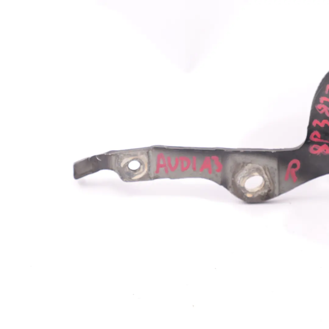 Audi A3 8P Charnière coffre droite du hayon Ebony Noir Pearl LZ9W - SKU 8P3827300-ESC - Numéro de pièce 8P3827300