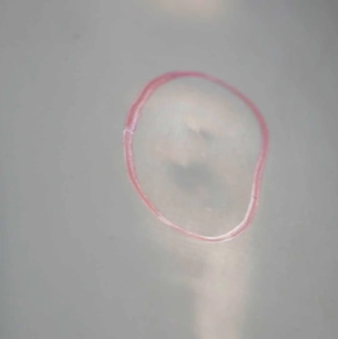 Door Front Citroën Relay Peugeot Boxer Fiat Ducato Right O/S Banquise White EWP to with Part number 9010G8 Door Front Citroën Relay Peugeot Boxer Fiat Ducato Right O/S Banquise White EWP - SKU 9010G8-BW - Part number 9010G8