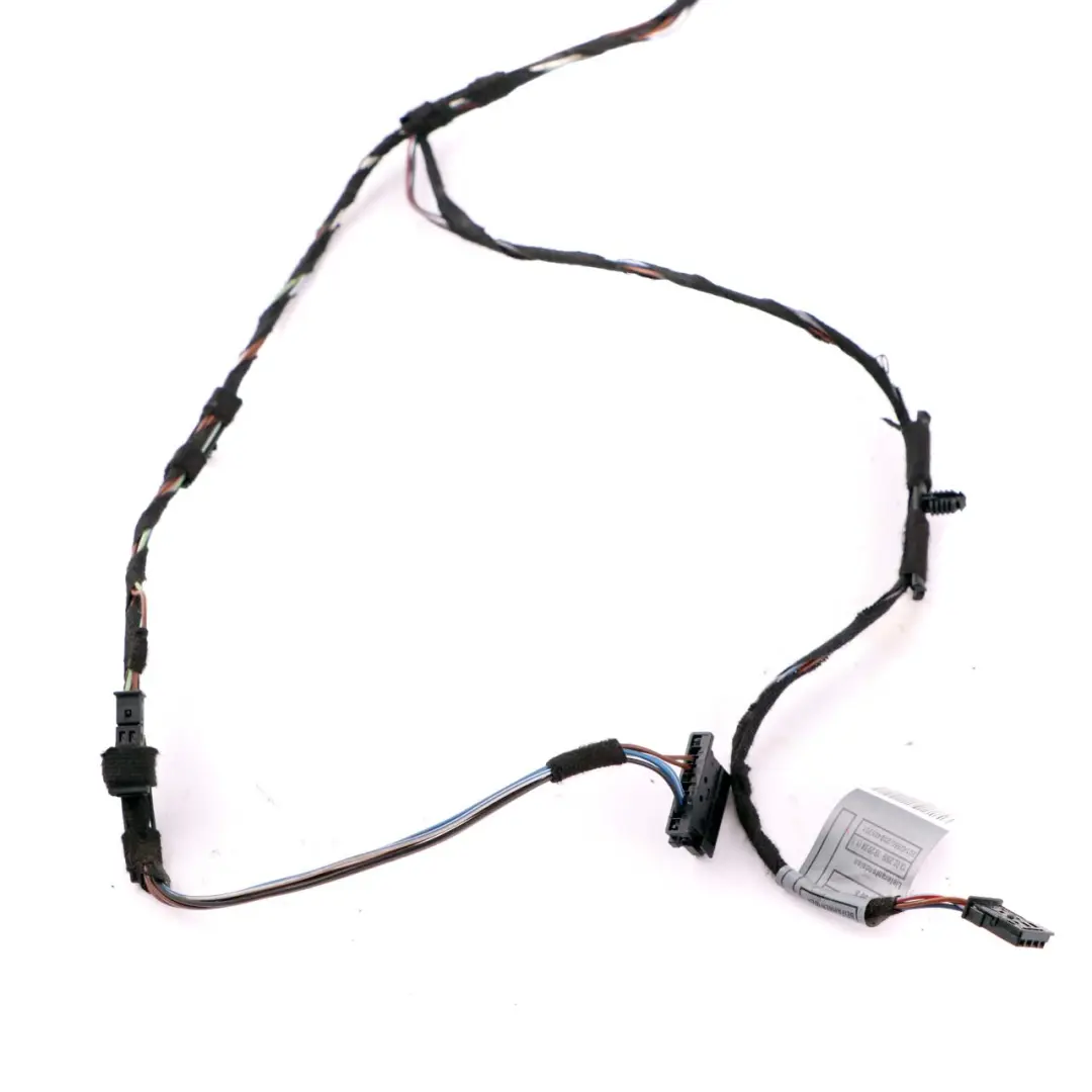 BMW 1 E81 E82 Puerta Mazo de cables - SKU 9118111 - Número de pieza 9118111