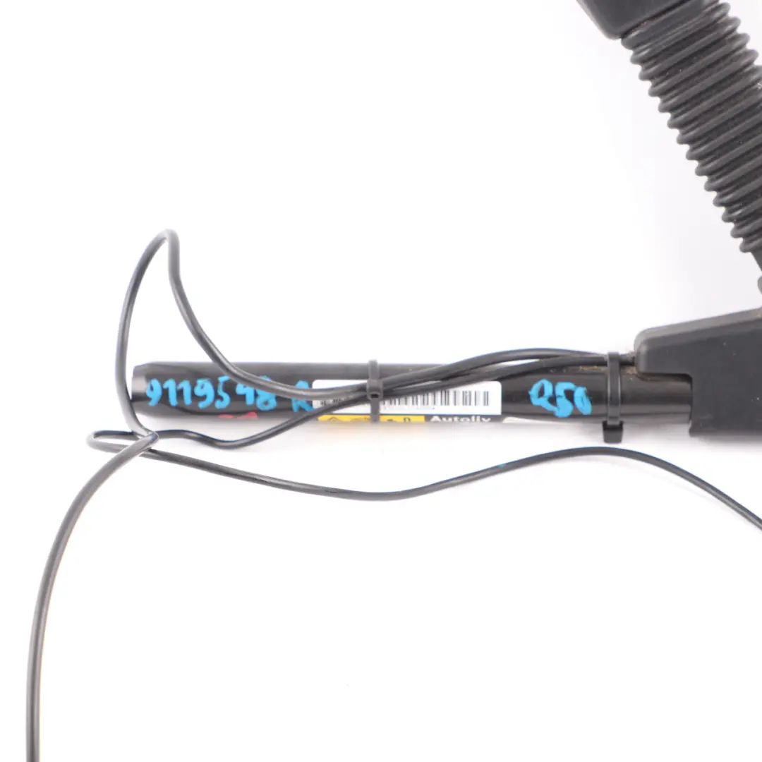 Tensor Cinturon Derecho para Mini Cooper One R50 R52 R53 con número de pieza 9119548 Mini Cooper One R50 R52 R53 Tensor Cinturon Derecho - SKU 9119548-1 - Número de pieza 9119548