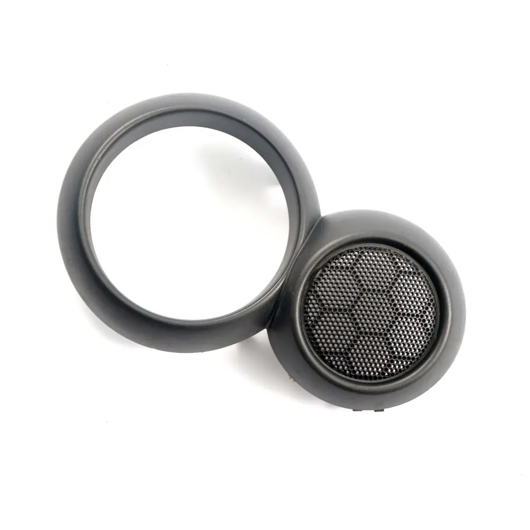 Coperchio apriporta interno destro Grigio Metallo per Mini Cooper R52 Cabrio con numero di parte 9124128 Mini Cooper R52 Cabrio Coperchio apriporta interno destro Grigio Metallo - SKU 9124128 - Numero di parte 9124128