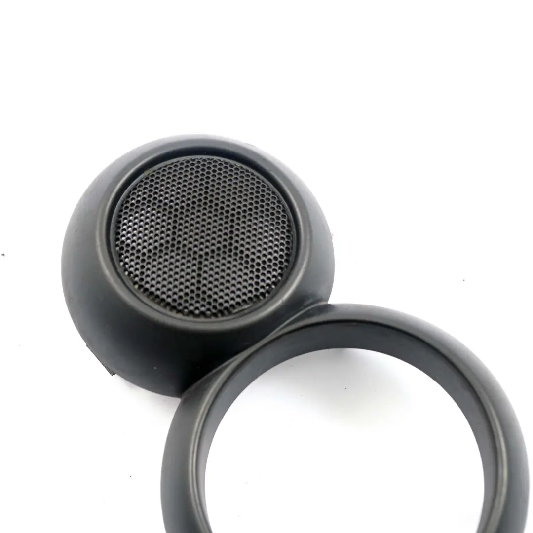 Coperchio apriporta interno destro Grigio Metallo per Mini Cooper R52 Cabrio con numero di parte 9124128 Mini Cooper R52 Cabrio Coperchio apriporta interno destro Grigio Metallo - SKU 9124128 - Numero di parte 9124128