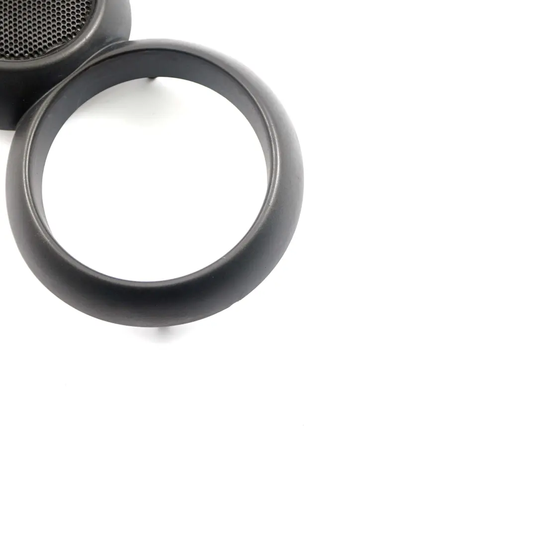 Coperchio apriporta interno destro Grigio Metallo per Mini Cooper R52 Cabrio con numero di parte 9124128 Mini Cooper R52 Cabrio Coperchio apriporta interno destro Grigio Metallo - SKU 9124128 - Numero di parte 9124128