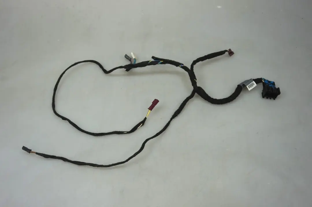 Mini Cooper One R55 R56 R57 R58 R59 Fahrertür Kabelbaum Kabelbaum - SKU 9137804 - Teilenummer 9137804