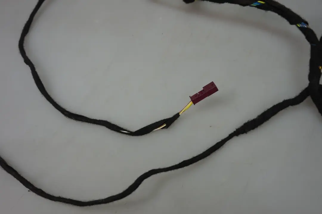 Drivers Door Wiring Harness Loom Mini Cooper One R55 R56 R57 R58 R59 - SKU 9137804 - Part number 9137804