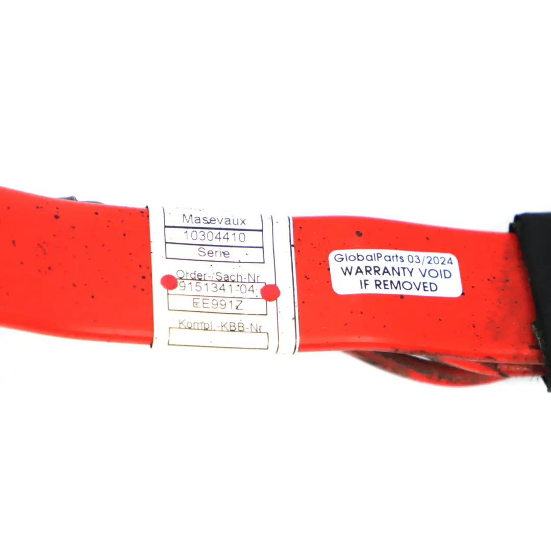 Cable batería BMW F12 F13 Mazo de cables Underfloor positivo Plus Plomo para con número de pieza 9151341 Cable batería BMW F12 F13 Mazo de cables Underfloor positivo Plus Plomo - SKU 9151341 - Número de pieza 9151341