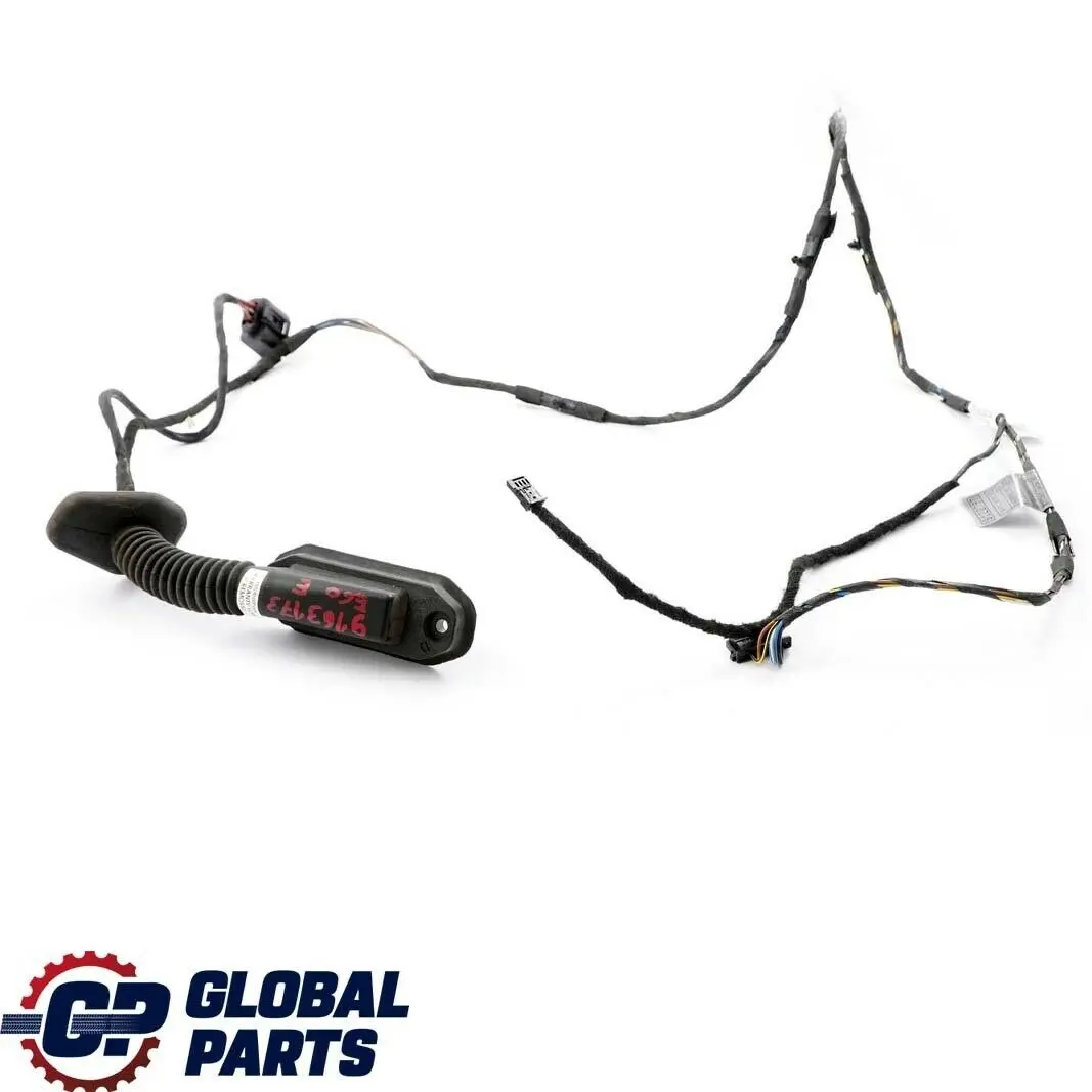 BMW 5 E60 E61 LCi Rechts Links Hinten Tür Kabelbaum 9120797 - SKU 9163173 - Teilenummer 9163173