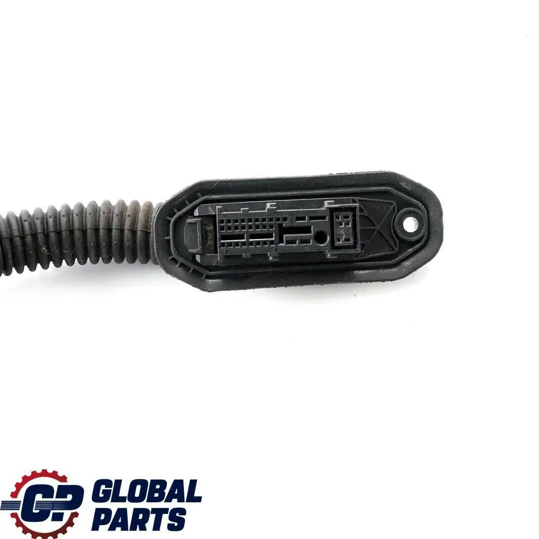 BMW E60 E61 Wiązka Kabel Drzwi Lewy Prawy Tył - SKU 9163173 - Numer Części 9163173