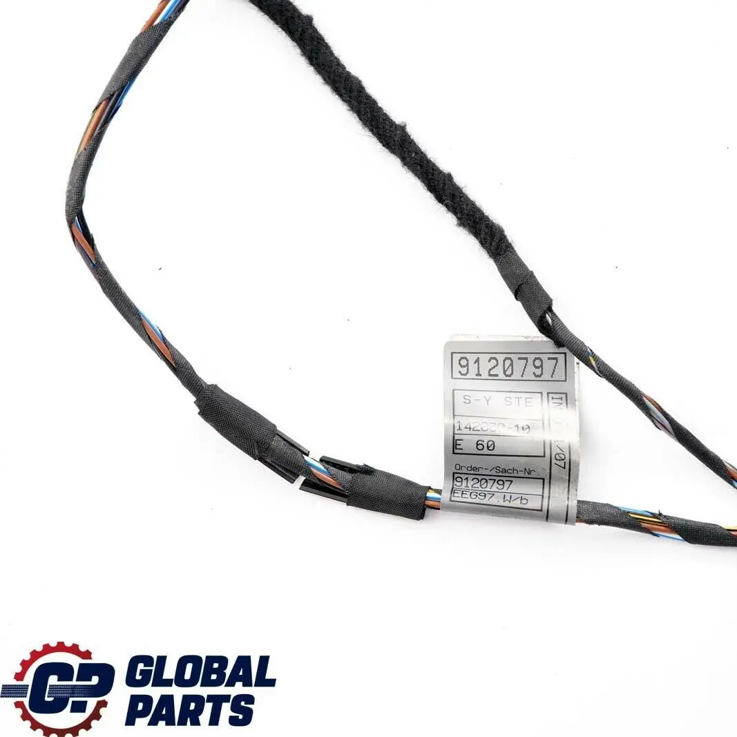 BMW 5 E60 E61 LCi Cableado Puerta Trasera Derecha Izquierda 9120797 - SKU 9163173 - Número de pieza 9163173