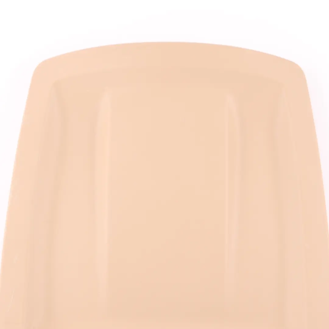  Front Seat Panel BMW E90 E91 X1 F48 Rear Trim Cover Back Panel Beige - SKU 9166910-1 - Part number 9166910