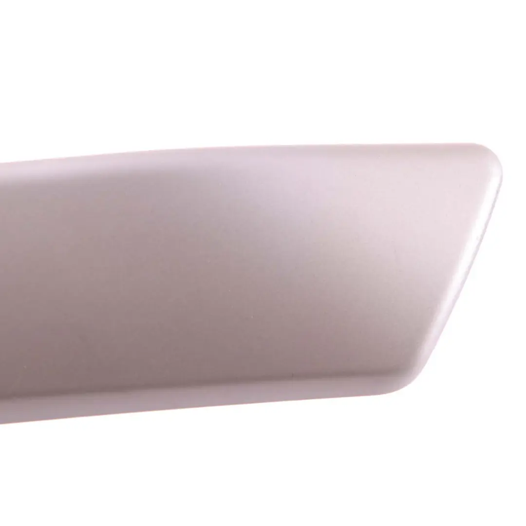 BMW Z4 E89 Interior Inside Door Handle Trim Panel Left N/S Satin Silver - SKU 9167017 - Part number 9167017