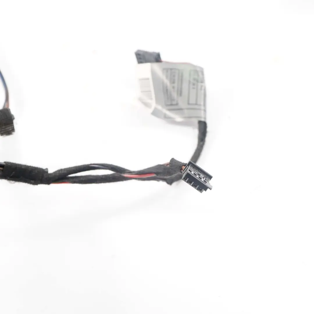 Cavo Loom Porta Lato Passeggero Cablaggio per BMW E88 Cabrio con numero di parte 9171954 BMW E88 Cabrio Cavo Loom Porta Lato Passeggero Cablaggio - SKU 9171954 - Numero di parte 9171954