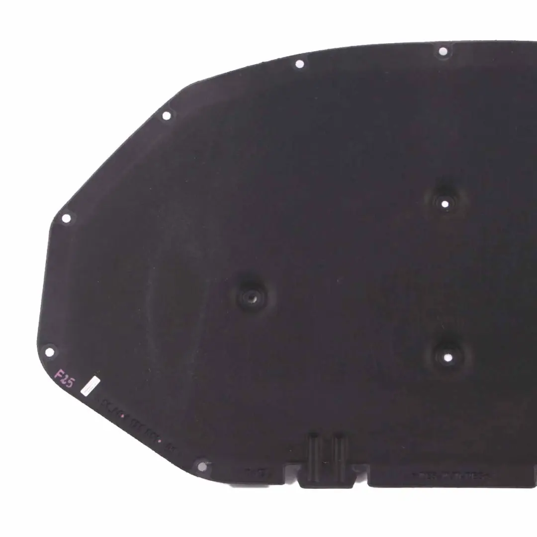  Motorhaubenabdeckung BMW X3 F25 X4 Isolierung Motorhaube Schall Schutz - SKU 9175051 - Teilenummer 9175051