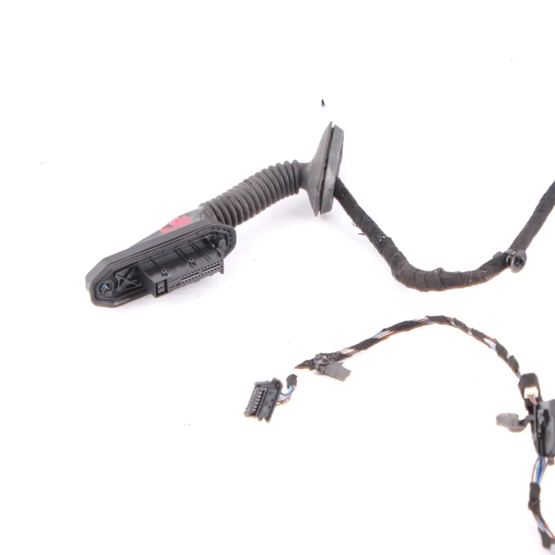 BMW X1 E84 Wiring Harness Door Driver Side Cable Loom Wiring Set - SKU 9191413 - Part number 9191413