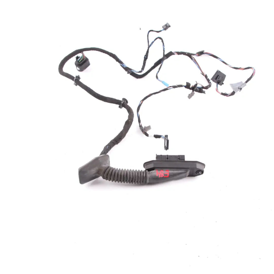 BMW X1 E84 Wiring Harness Door Driver Side Cable Loom Wiring Set - SKU 9191413 - Part number 9191413