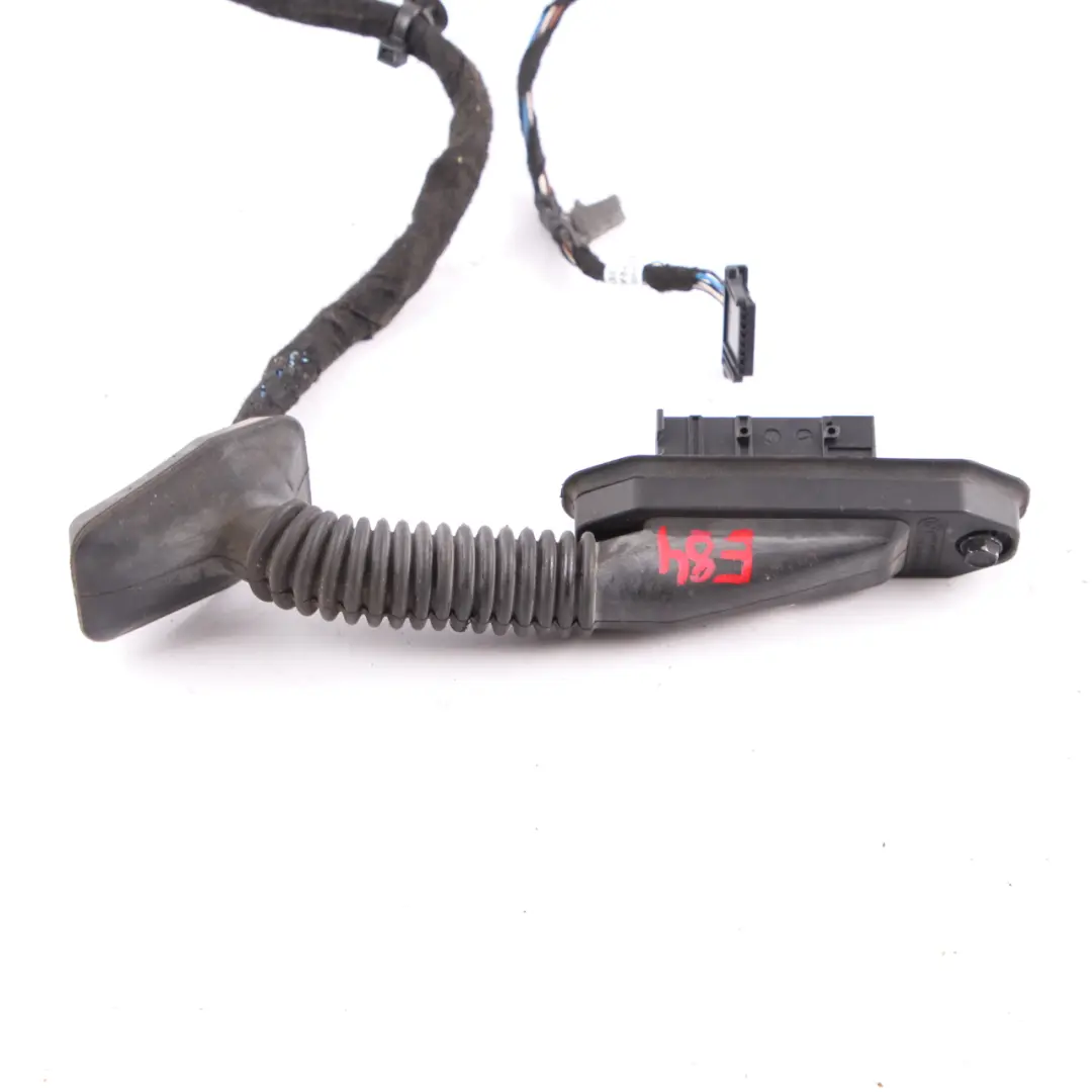 BMW X1 E84 Wiring Harness Door Driver Side Cable Loom Wiring Set - SKU 9191413 - Part number 9191413