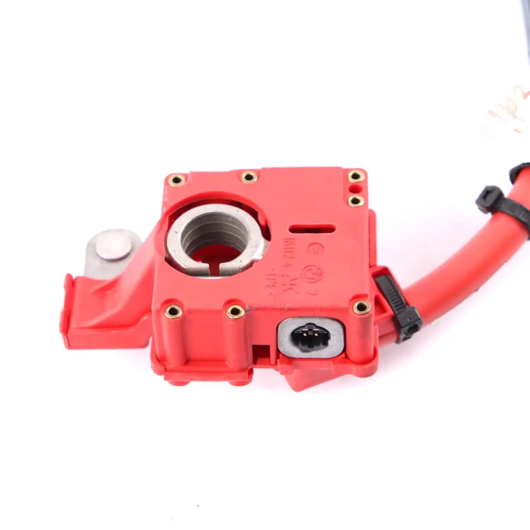 BMW X5 X6 E70 E71 Klema Plusowa Plus Pirotechniczna - SKU 9217004-1 - Numer Części 9217004