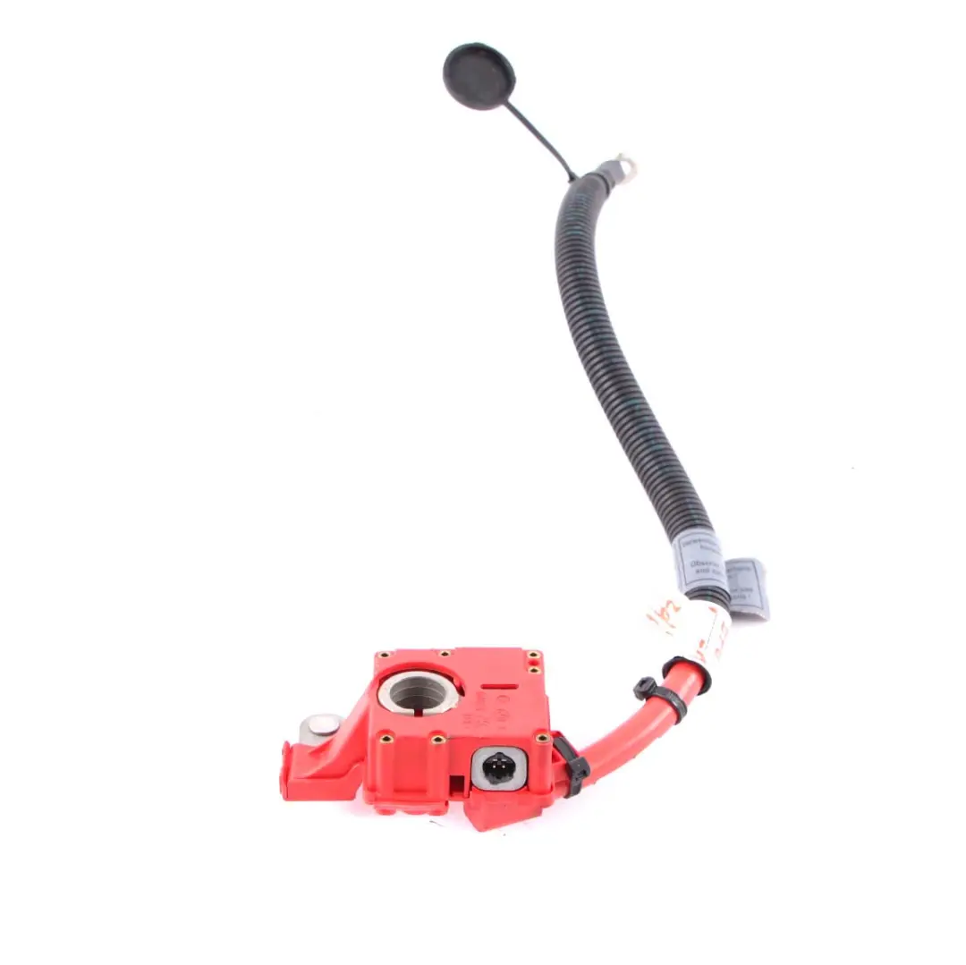 Cableado Positivo de Batería Plus Pole para BMW X5 X6 E70 E71 con número de pieza 9217004 BMW X5 X6 E70 E71 Cableado Positivo de Batería Plus Pole - SKU 9217004-1 - Número de pieza 9217004
