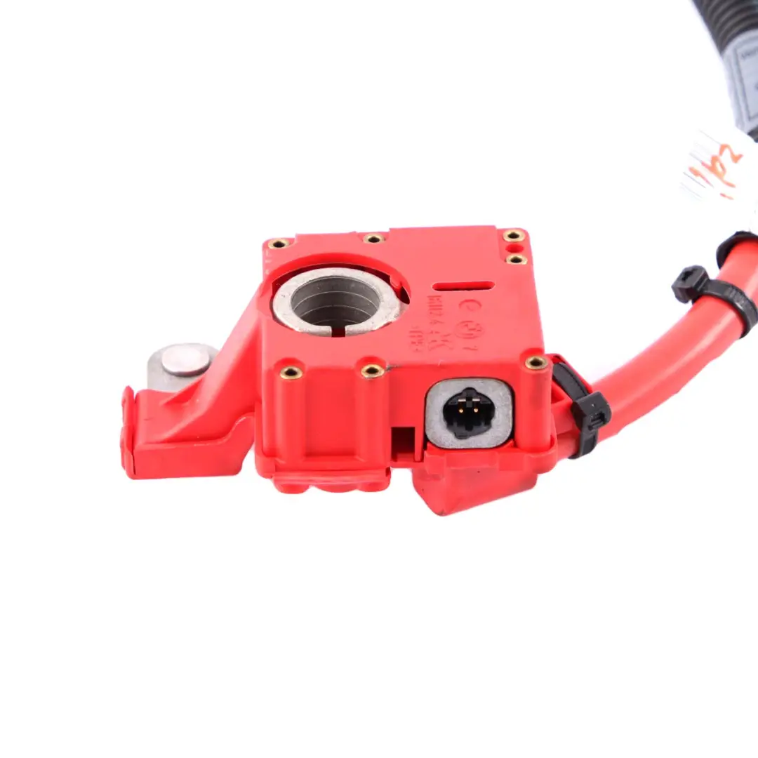 Câble de Batterie Positif Plus Pôle pour BMW X5 X6 E70 E71 à propos du numéro de pièce 9217004 BMW X5 X6 E70 E71 Câble de Batterie Positif Plus Pôle - SKU 9217004-1 - Numéro de pièce 9217004