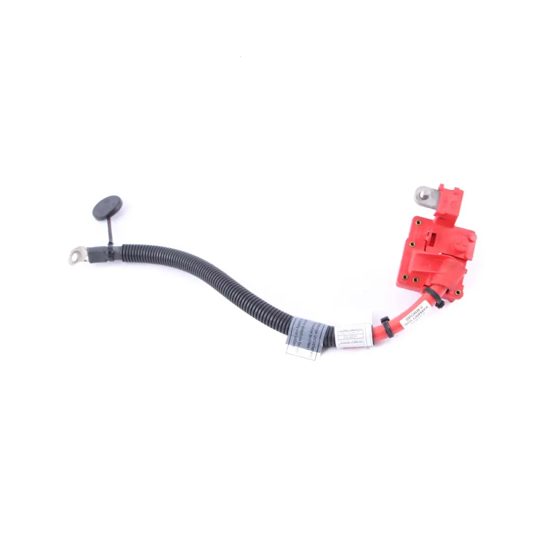 BMW X5 X6 E70 E71 Câble de Batterie Positif Plus Pôle - SKU 9217004-1 - Numéro de pièce 9217004