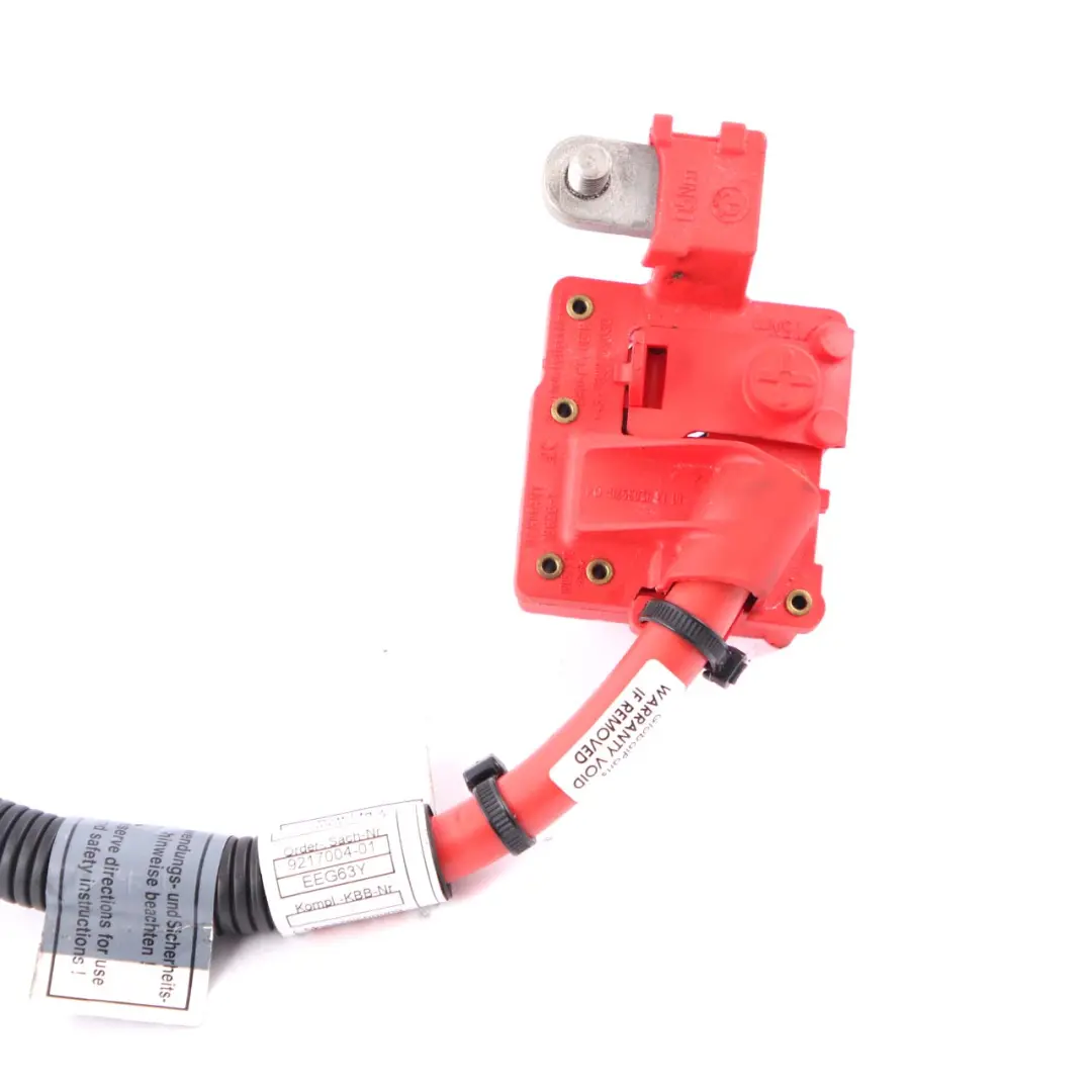 BMW X5 X6 E70 E71 Cavo batteria positivo più polo - SKU 9217004-1 - Numero di parte 9217004