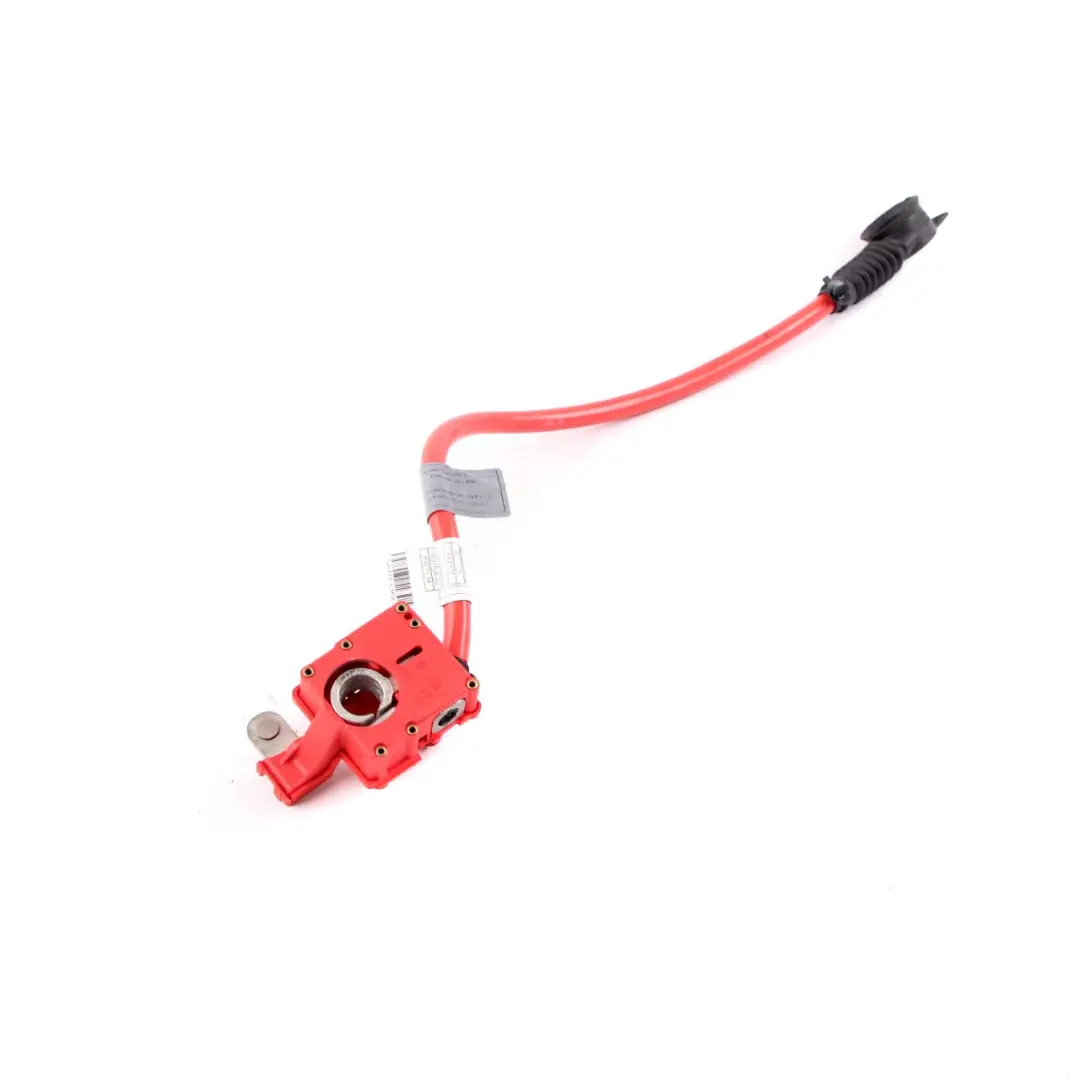 Kabel Klema Pirotechniczna Plusowa do BMW F07 F10 F11 F12 F13 o numerze 9217036 BMW F07 F10 F11 F12 F13 Kabel Klema Pirotechniczna Plusowa - SKU 9217036 - Numer Części 9217036