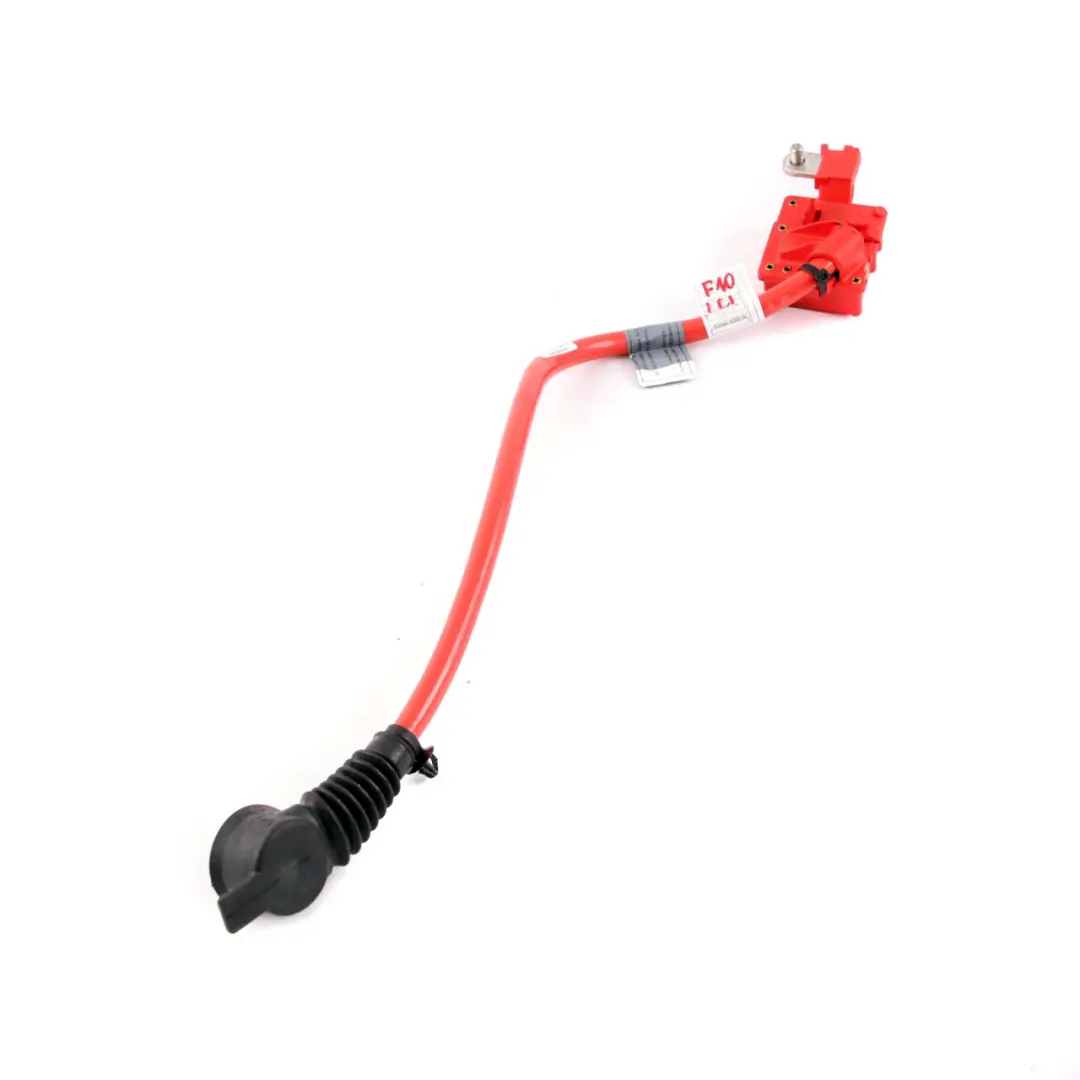 Cableado Batería Más Polo para BMW F07 F10 F11 F12 F13 con número de pieza 9217036 BMW F07 F10 F11 F12 F13 Cableado Batería Más Polo - SKU 9217036 - Número de pieza 9217036