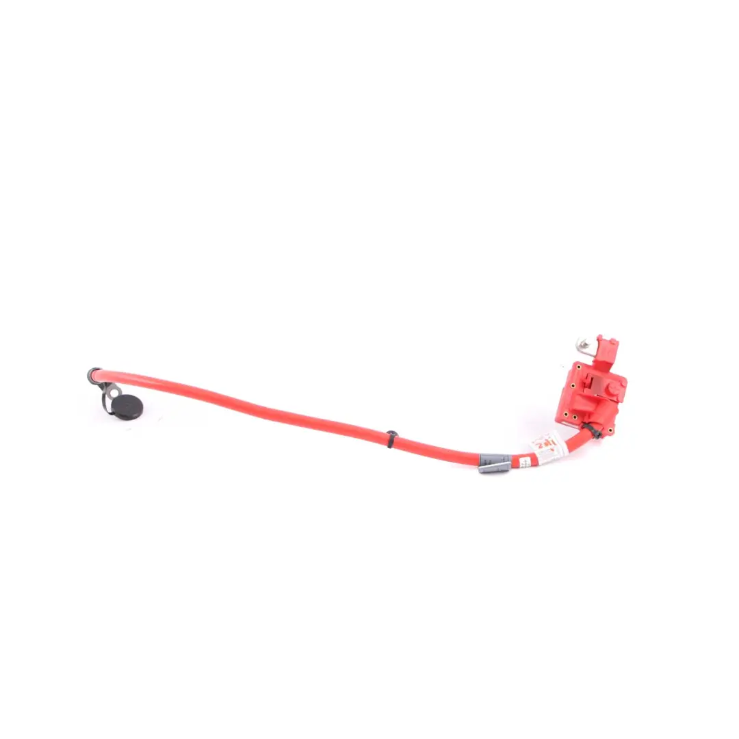 Batterie Kabel BMW X3 F25 Rot Positiv Plus Pol Ausblasen für mit Teilenummer 9225099 Batterie Kabel BMW X3 F25 Rot Positiv Plus Pol Ausblasen - SKU 9225099 - Teilenummer 9225099
