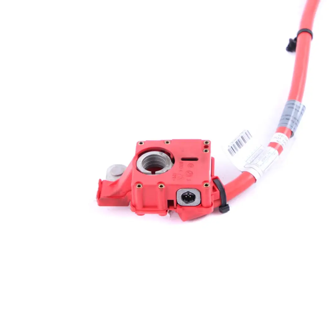  Cable Batería BMW X3 F25 Rojo Positivo Más Polo Blow Off - SKU 9225099 - Número de pieza 9225099