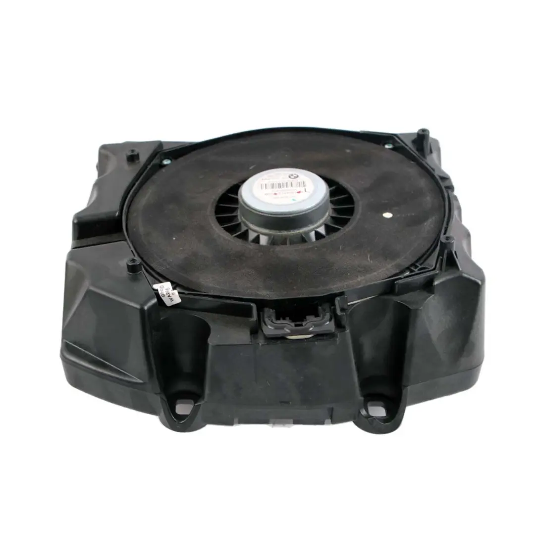 Links Zentrale Basslautsprecher Stereoanlage 9164581 für BMW F07 mit Teilenummer 9225831 BMW F07 Links Zentrale Basslautsprecher Stereoanlage 9164581 - SKU 9225831 - Teilenummer 9225831