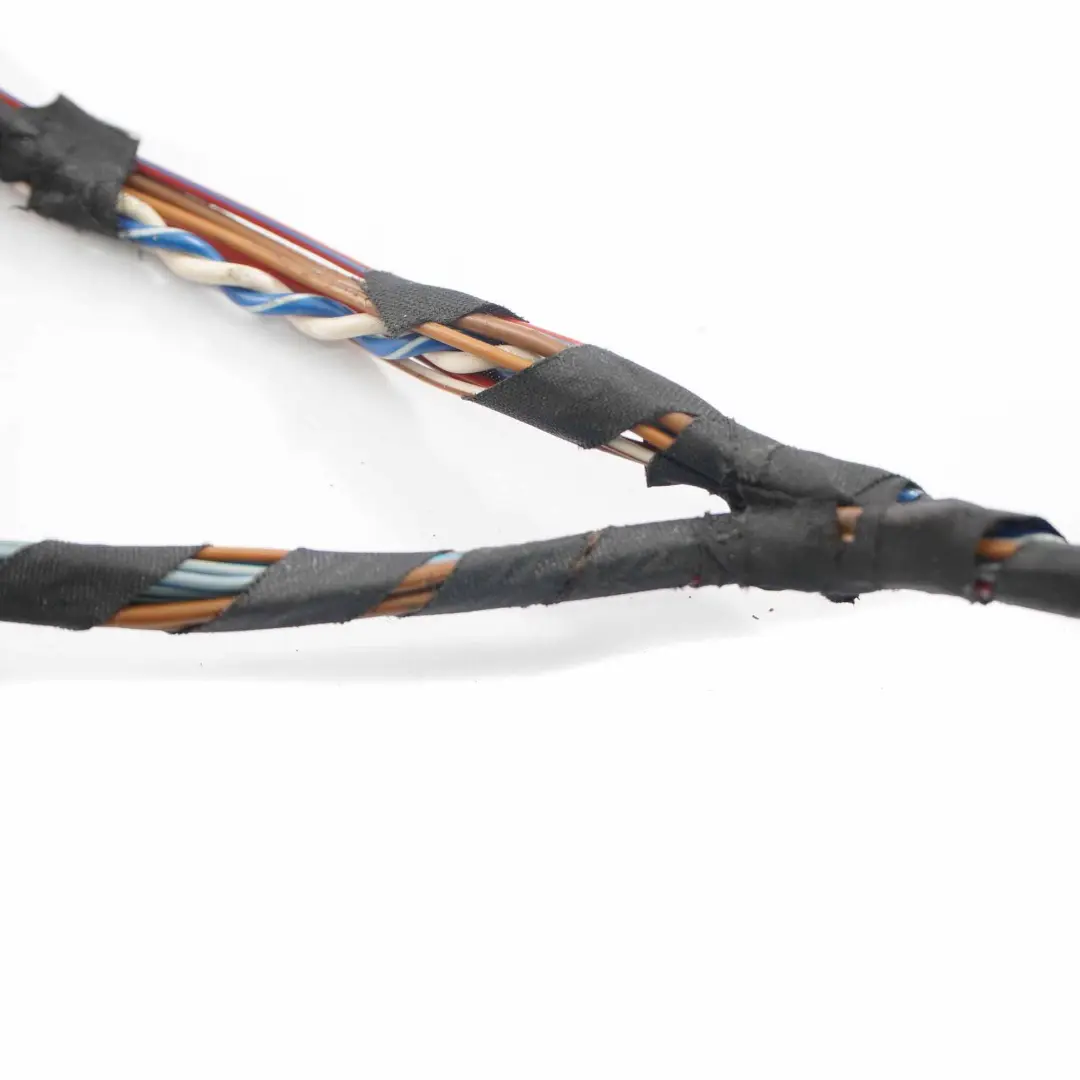 Cableado De Puerta Pasajero Delantero Puerta Loom Cables Arnés para BMW E70 con número de pieza 9229847 BMW E70 Cableado De Puerta Pasajero Delantero Puerta Loom Cables Arnés - SKU 9229847 - Número de pieza 9229847