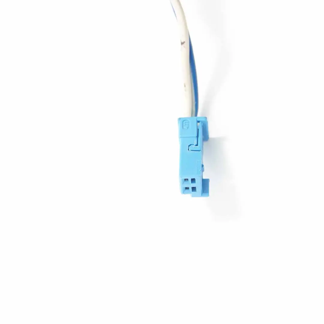 BMW E70 Tür Verkabelung Vorne Beifahrer Tür Loom Kabel Kabelbaum - SKU 9229847 - Teilenummer 9229847