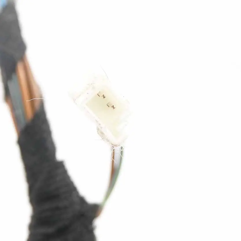 Cablaggio Porta Passeggero Anteriore Cavi Cablaggio per BMW E70 con numero di parte 9229847 BMW E70 Cablaggio Porta Passeggero Anteriore Cavi Cablaggio - SKU 9229847 - Numero di parte 9229847