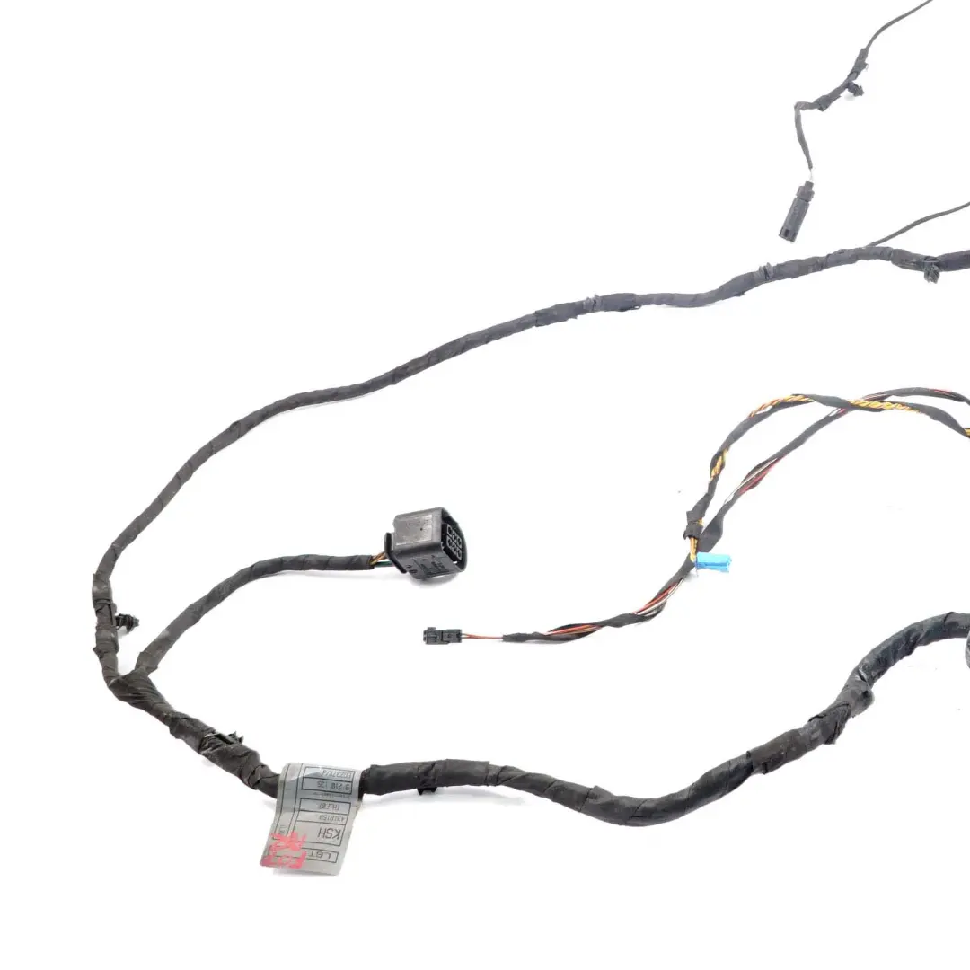 BMW 5 er F07 GT Kabelsatz Kabelbaum Kabel Tür Hinten Links Rechts 9210135 - SKU 9229989 - Teilenummer 9229989