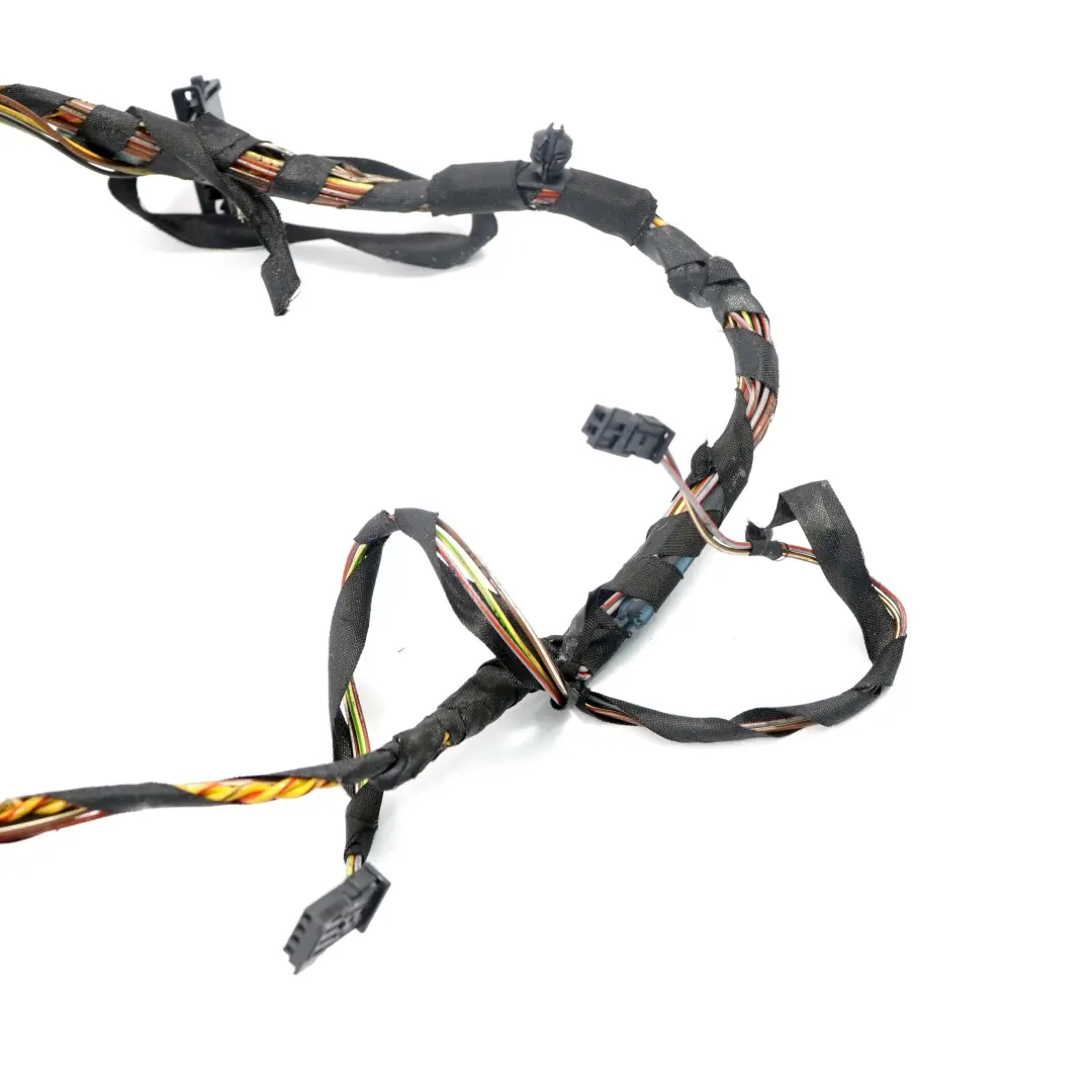 Cable Loom Puerta Trasera Izquierda Derecha N/ Mazo De cables 9210135 para BMW F07 GT con número de pieza 9229989 BMW F07 GT Cable Loom Puerta Trasera Izquierda Derecha N/ Mazo De cables 9210135 - SKU 9229989 - Número de pieza 9229989