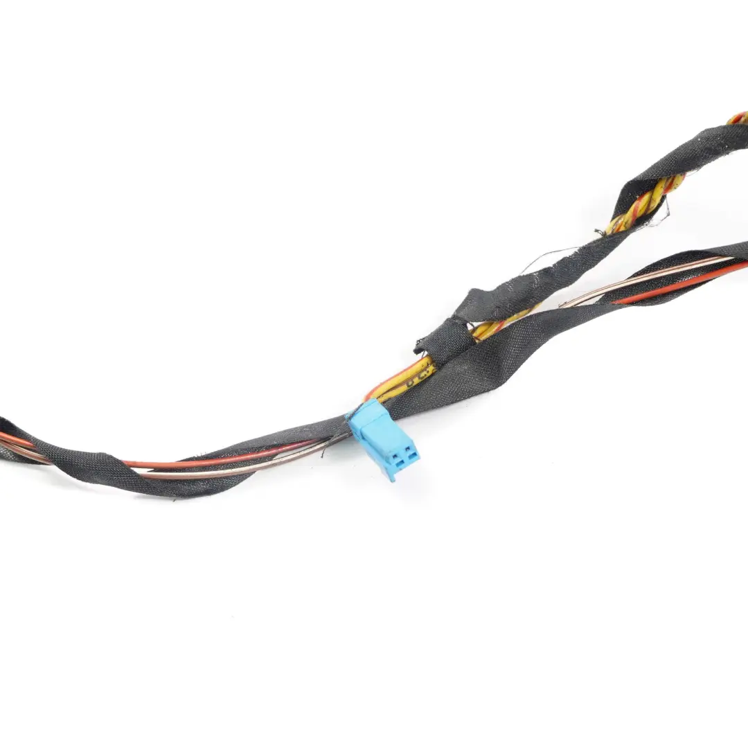 Cable Loom Puerta Trasera Izquierda Derecha N/ Mazo De cables 9210135 para BMW F07 GT con número de pieza 9229989 BMW F07 GT Cable Loom Puerta Trasera Izquierda Derecha N/ Mazo De cables 9210135 - SKU 9229989 - Número de pieza 9229989