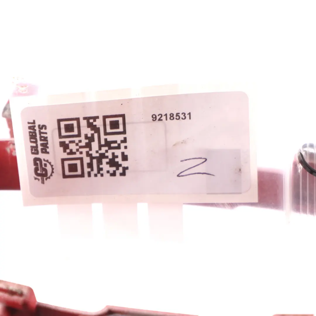 Interruptor faro delantero alrededor cubierta control para BMW F30 F31 F32 con número de pieza 9218531 BMW F30 F31 F32 Interruptor faro delantero alrededor cubierta control - SKU 9239295-2 - Número de pieza 9218531