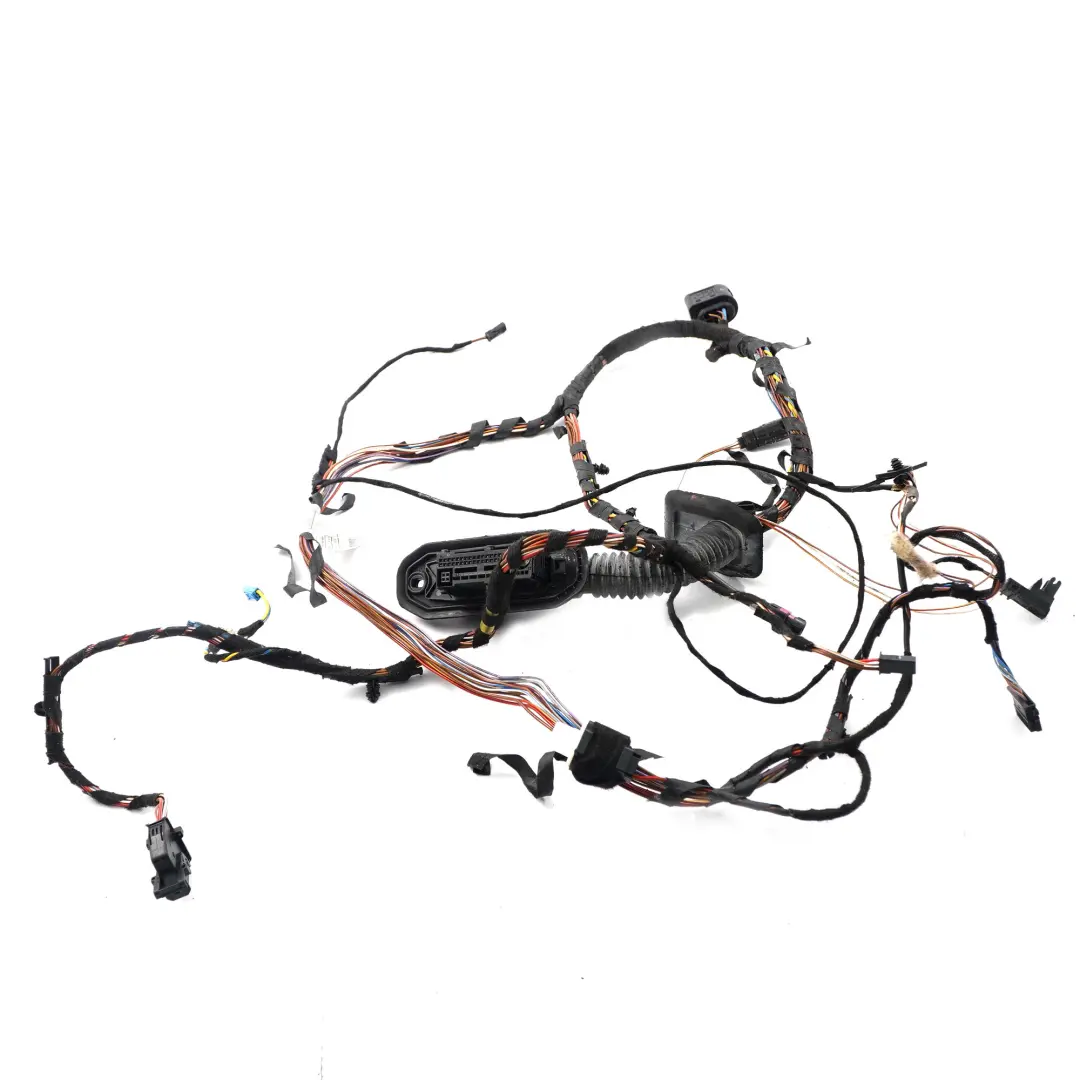 BMW X6 E71 Cables Del Arnés De Cableado De La Puerta Conductor - SKU 9242072 - Número de pieza 9242072