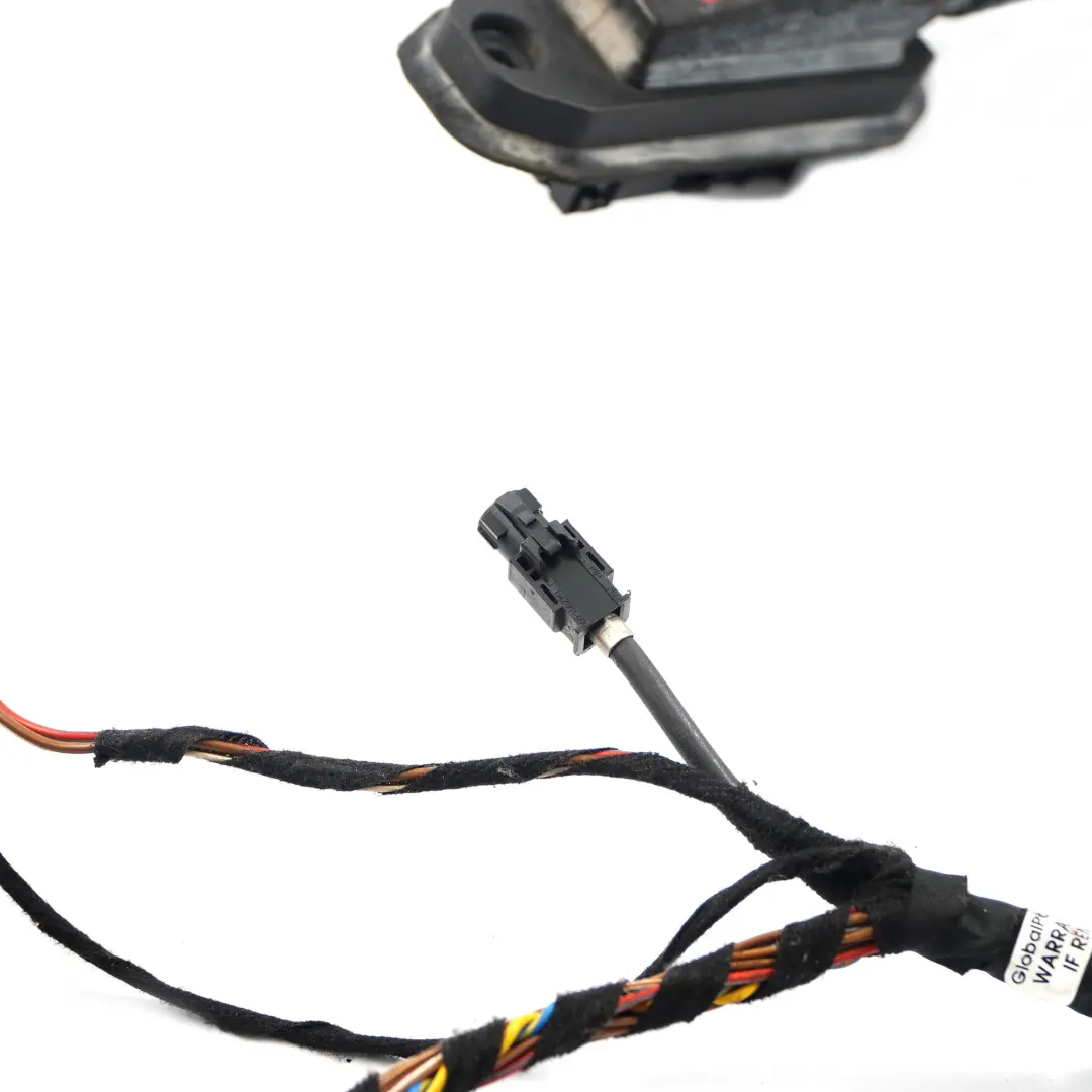 BMW X6 E71 Cables Del Arnés De Cableado De La Puerta Conductor - SKU 9242072 - Número de pieza 9242072