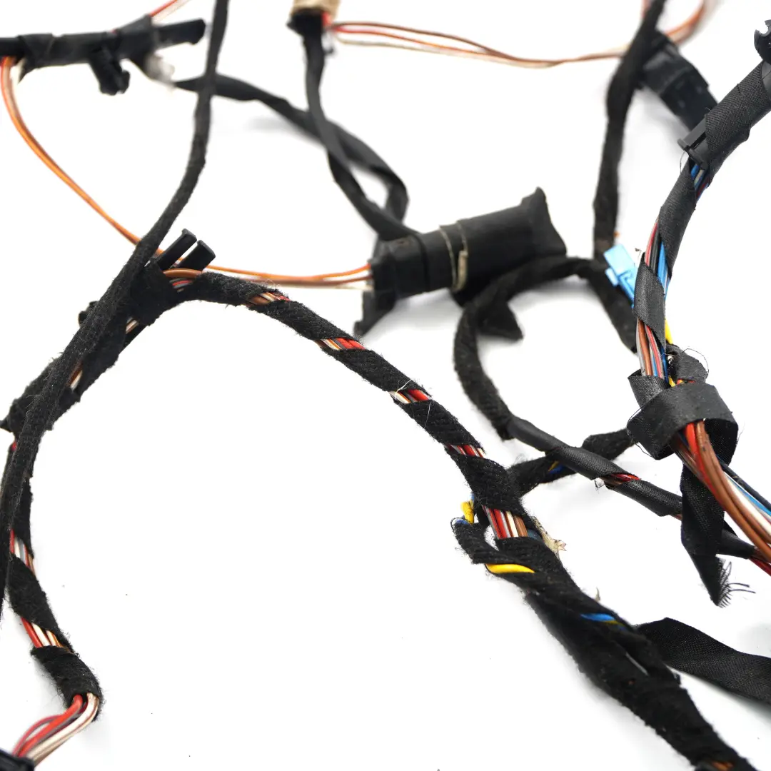 BMW X6 E71 Cables Del Arnés De Cableado De La Puerta Conductor - SKU 9242072 - Número de pieza 9242072