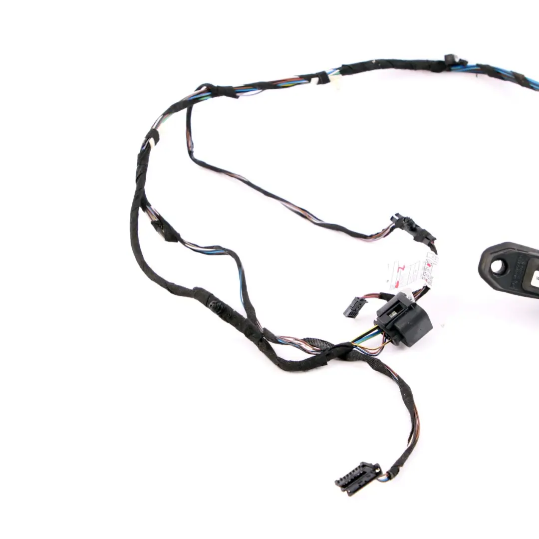 BMW X1 E84 Wiring Cable Loom Set Rear Door Right Left N/O/S - SKU 9247091 - Part number 9247091